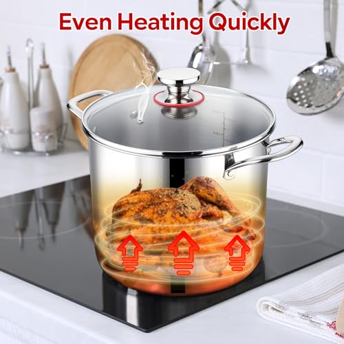 12 QT Stock Pot with Lid (12 Quarts)