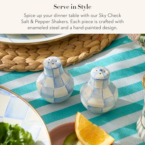 Enamel Salt and Pepper Shakers (Sky Check / Small)