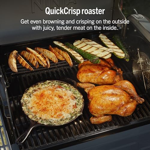 FlexFlame Grill & Smoker (Blue)