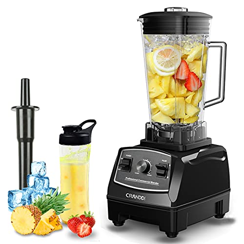 Professional Blender (Black Pearl)