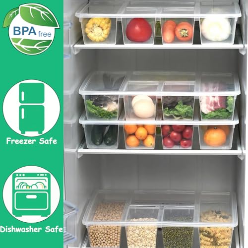 2 Pack Divided Veggie Tray with Lid