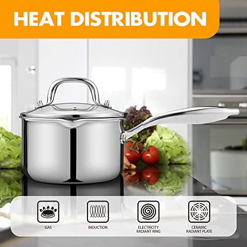 Stainless Steel Saucepan with Glass Lid