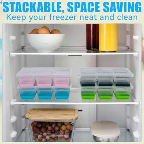 Ice Cube Trays 2 Pack (2 Count)