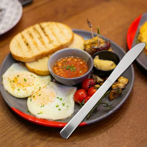 36 PCS Dinner Knifes Set (36PCS Dinner Kinfe)