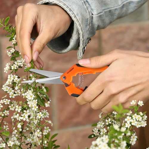 6.5 Inch Garden Scissors (Orange Straight Blade / Orange)