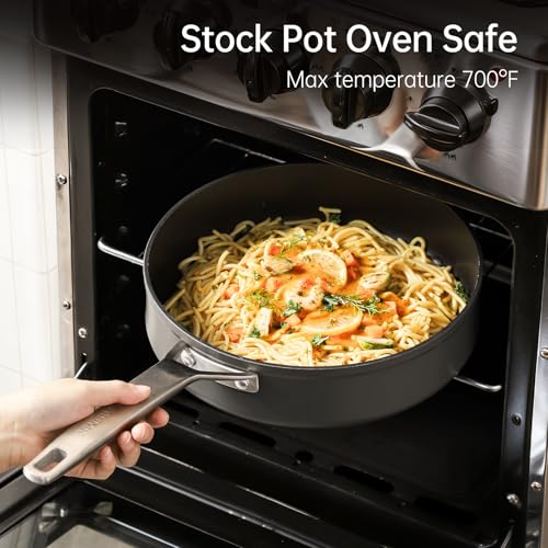 11 Inch Nonstick Frying pan with Lid (11-Inch)