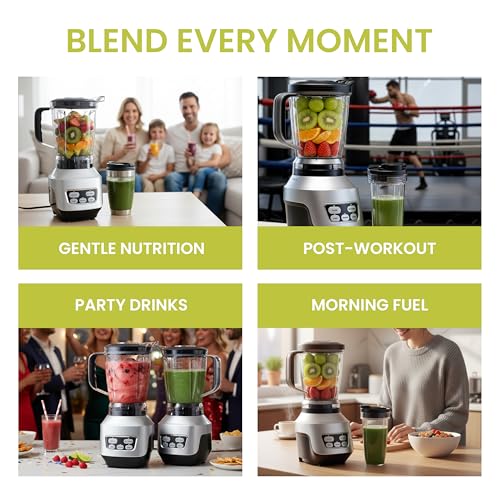 Smoothie Blender (Silver / 1200W)