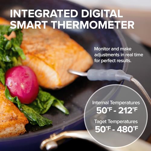 Upgraded Induction Cooktop with Patented Digital Temp Probe (PIC Titanium)