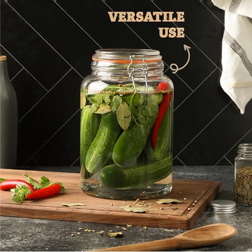 Large 1 Gallon Glass Mason Jar with Hinged Lids (1 Gallon)