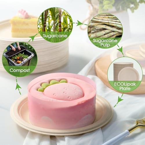 6 in 200 Pack Natural Disposable Compostable Dessert Paper Plates (6in-200natural)