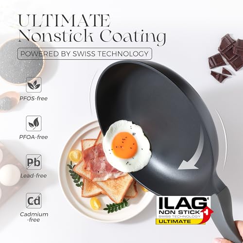 Nonstick Frying Pan with Lid (10" W/Lid / Black Sesame)