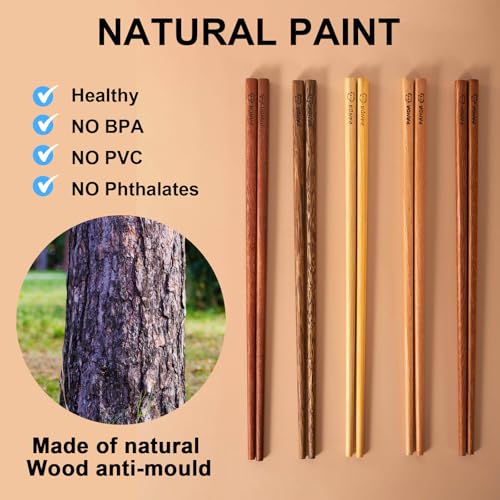 5 Pairs Chopsticks Set