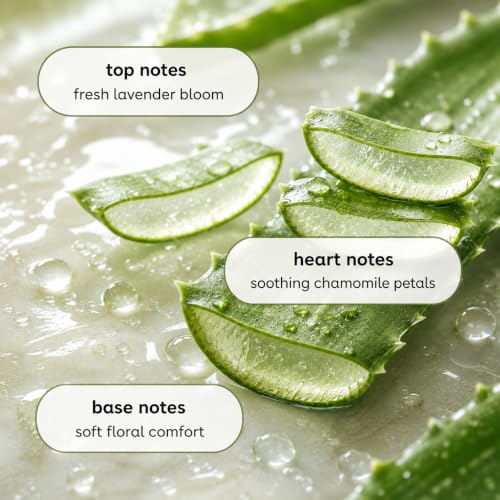 Botanicals Liquid Dish Soap (24 Fl Oz (Pack of 1))