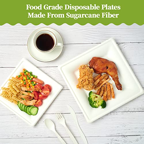 120 Pack Compostable Paper Plates Disposable (10 inch and 8 inch)