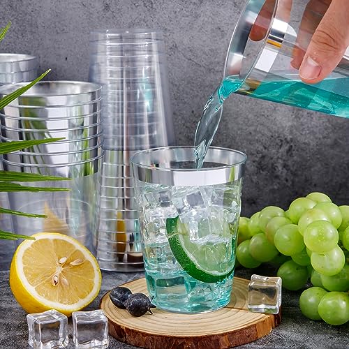100PCS Silver Plastic Cups (10-Silver-100)