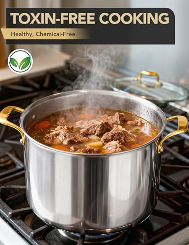Stainless Steel Stock Pot (20 Quarts)