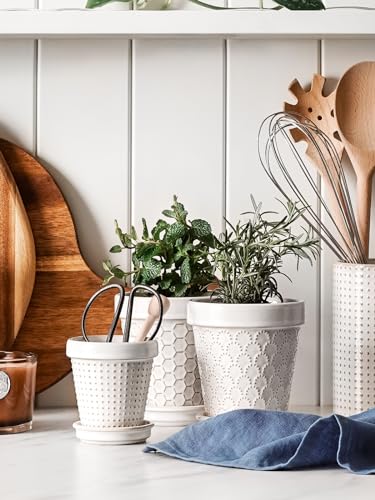 Ceramic Succulent Pots (4 inch)