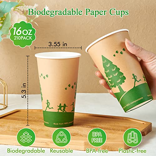 16 oz Compostable Paper Coffee Cups with PLA Lined (16oz-210)