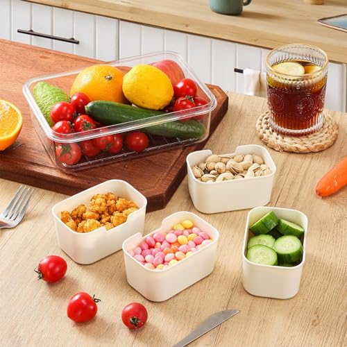 Snack Box Container (1 PC - 4 Compartments)