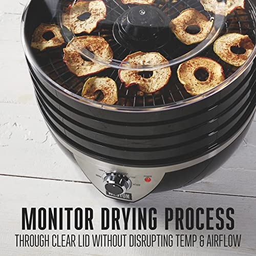 Food Dehydrator Machine for Jerky (Temperature Control (100-160F) / 4 Stackable Trays, Black & Stainless Steel Accents)