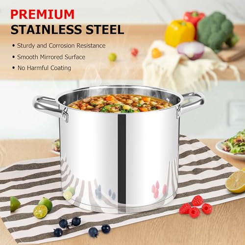 10 Quart Pot with Lid (10 Quarts)