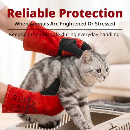 Animal handling Gloves 16 (XL)