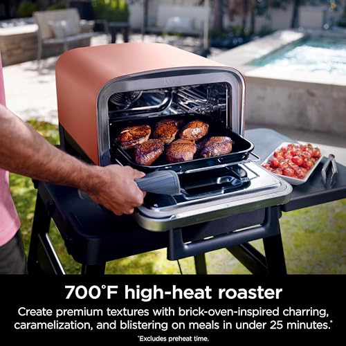 Woodfire Oven & Smoker (Pizza Oven + Smoker)