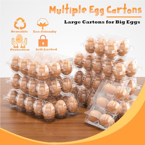 100 Pack Large Egg Cartons Cheap Bulk 12 Count Plastic Egg Containers 2x6 (100Pack-2x6 Large)