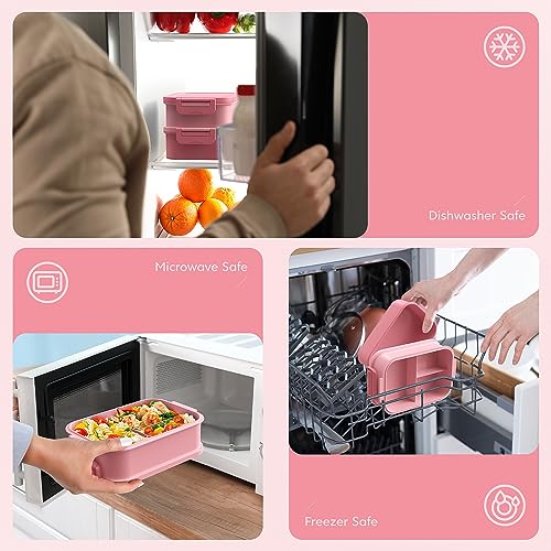 Bento Lunch Box for Adults