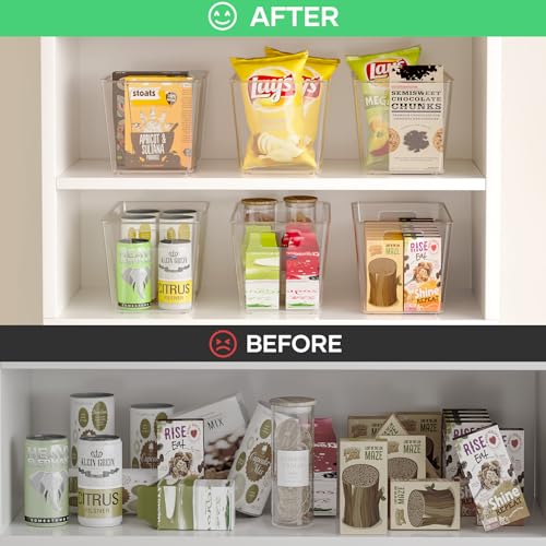 4 Pack Clear Plastic Storage Bins (4 Count)