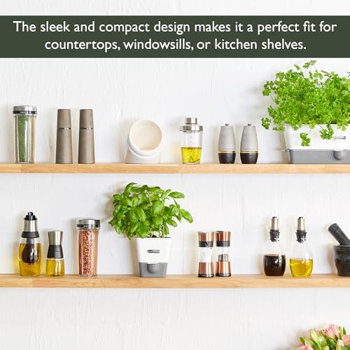 Self Watering Single Potted Herb Keeper (Single Fresh Herb Keeper)