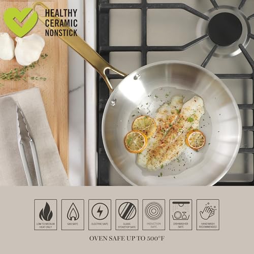 Castelle 9.5 Inch Stainless Steel Frying Pan with Gold (Stainless Steel W/ Gold Handle / 9.5" Frying Pan)
