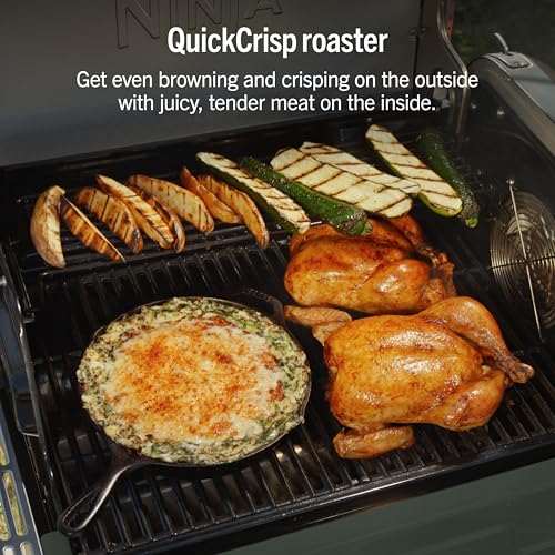FlexFlame Grill & Smoker (Green)