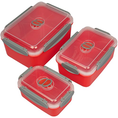 Microwave Storage Container w