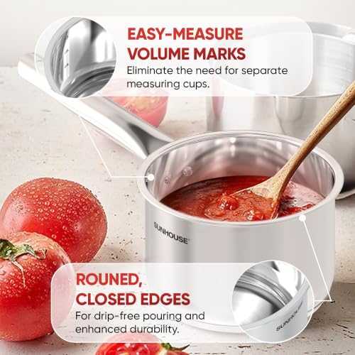 Stainless Steel Saucepan