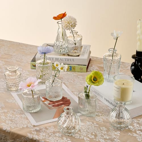 Glass Bud Vase Set of 33 Pcs Small Minimalist Vases for Flowers (Clear)