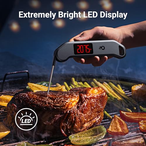 1 Sec Professional Digital Meat Thermometer