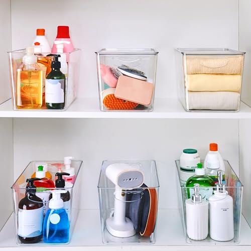 XLarge Clear Storage Bins with Lids (6 Count)