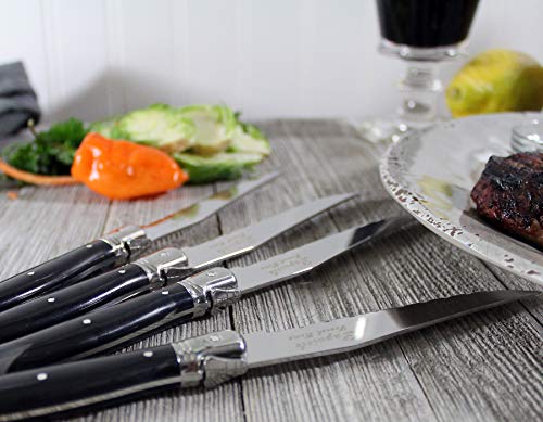 Laguiole 20 Piece Stainless Steel Flatware Set (Black)
