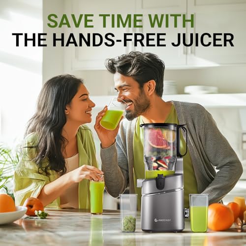 Cold Press Juicer (Gray / 5.8")