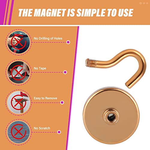 Magnetic Hooks (10 Count)
