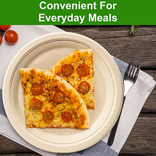 Compostable 9 Inch Paper Plates (9 inch 150 Pack)