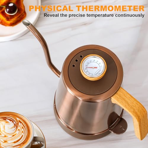 Electric Gooseneck Kettle with Thermometer (COPPER)