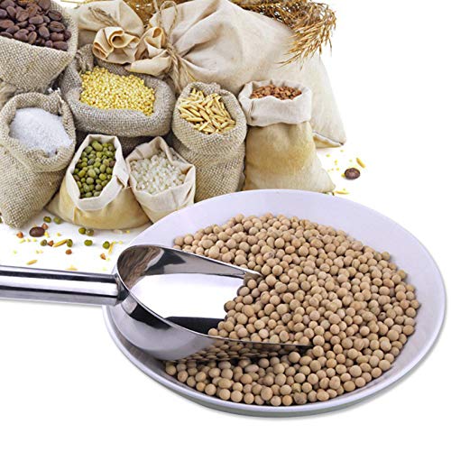 Food Ice Scoop (2 Count)