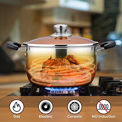 6QT Stock Pot with Lid