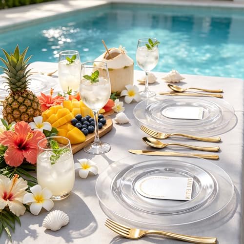 60PCS Clear Plastic Plates (60 Count)