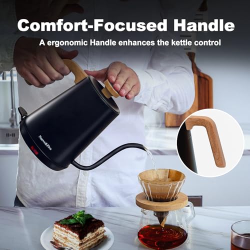 Electric Gooseneck Kettle with Thermometer (BLACK)