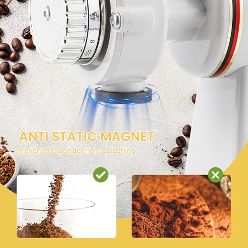 Electric Burr Coffee Grinder (White)
