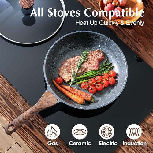 9.5inch Nonstick Frying Pan Chef's Pan with Glass Lid