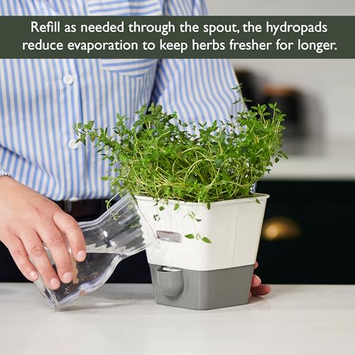 Self Watering Single Potted Herb Keeper (Single Fresh Herb Keeper)
